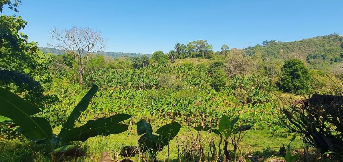 Enjoy the best of a tropical landscape, a property with its own fresh water source!
