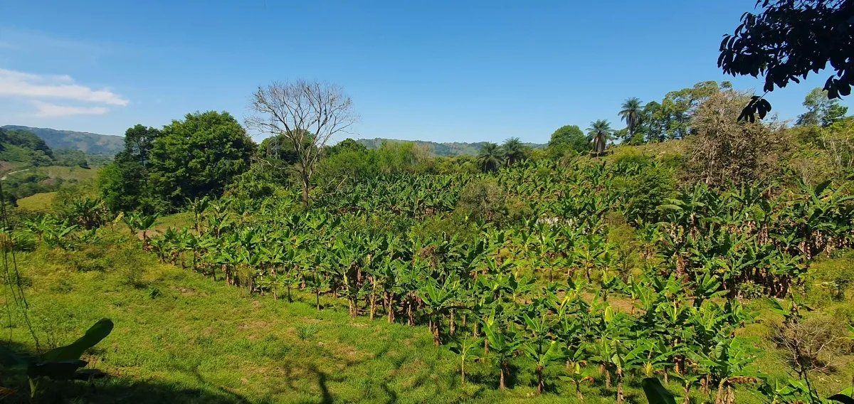 Enjoy the best of a tropical landscape, a property with its own fresh water source!