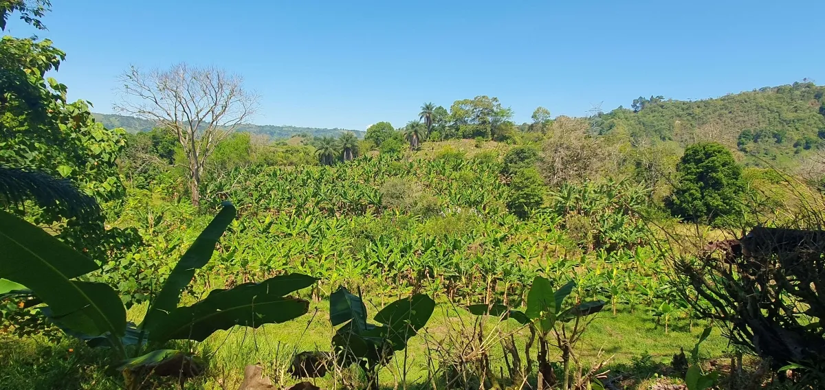 Disfrute de lo mejor de un paisaje tropical, ¡una propiedad con su propia fuente de agua dulce!