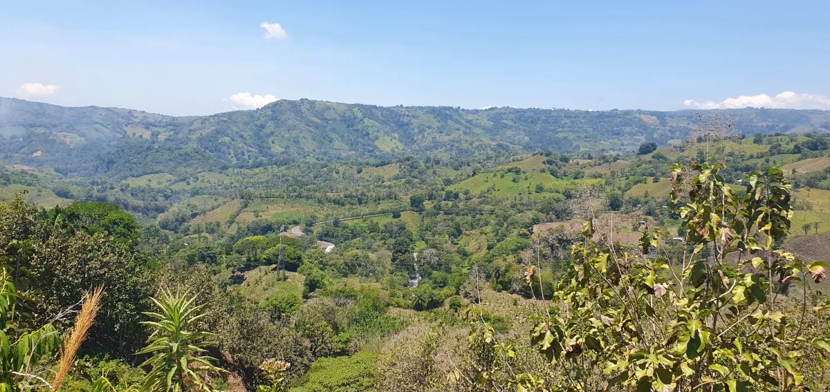 Disfrute de lo mejor de un paisaje tropical, ¡una propiedad con su propia fuente de agua dulce!