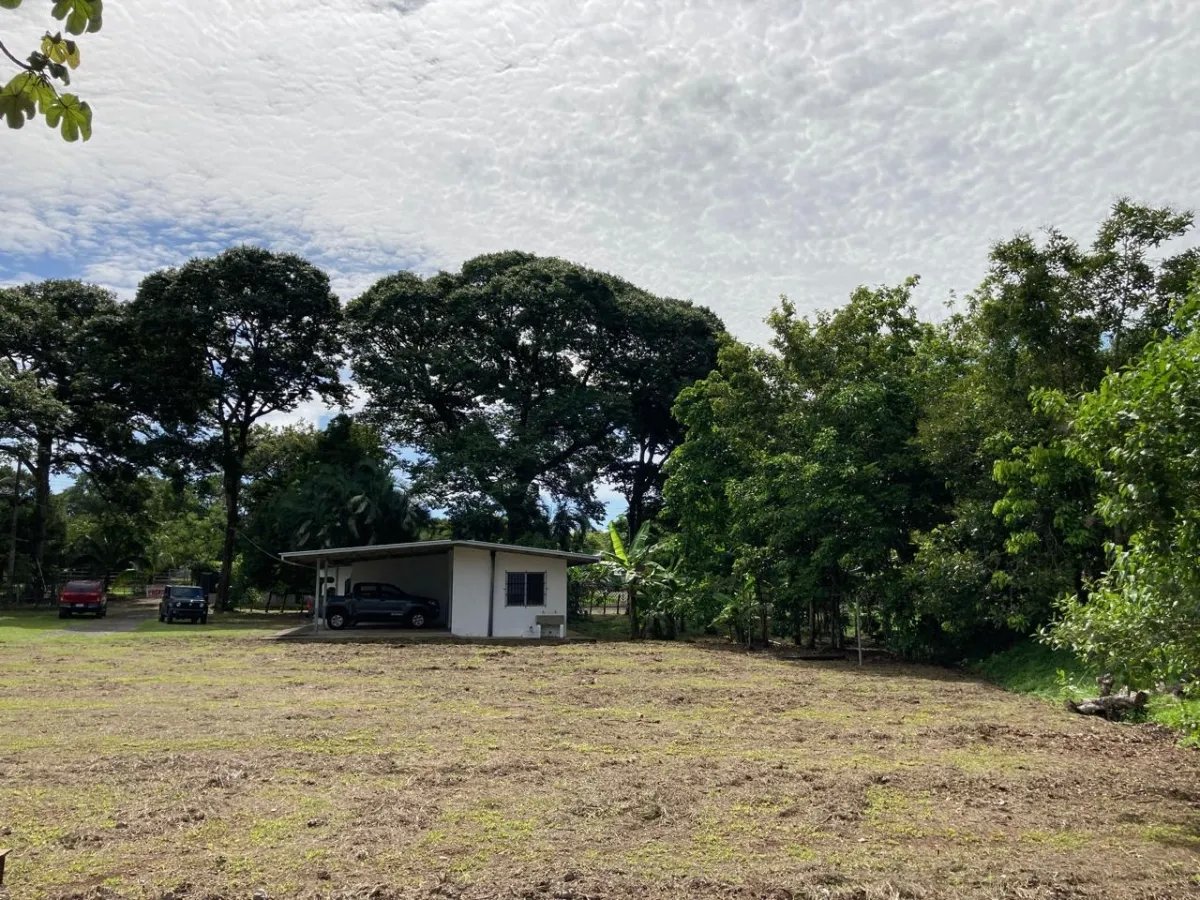 Huge workshop, offices and residential building on a large plot of land