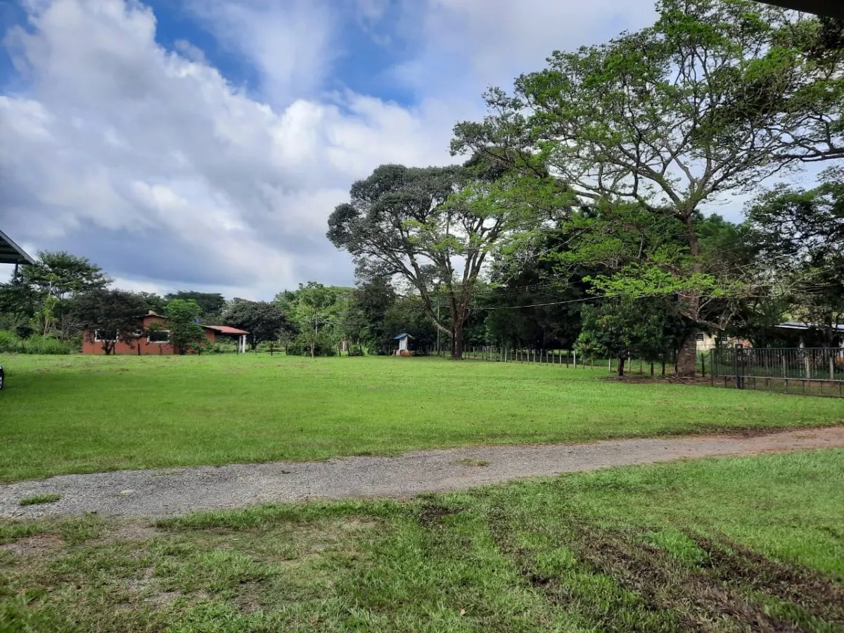 Huge workshop, offices and residential building on a large plot of land