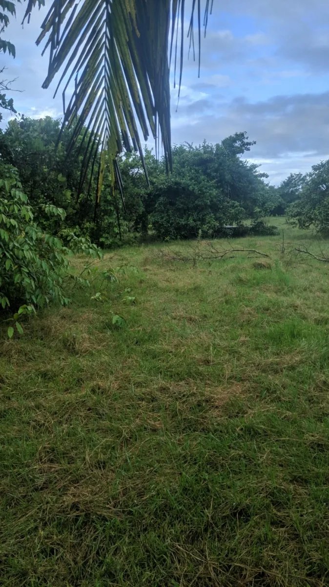 1-hectare lot ready to build on