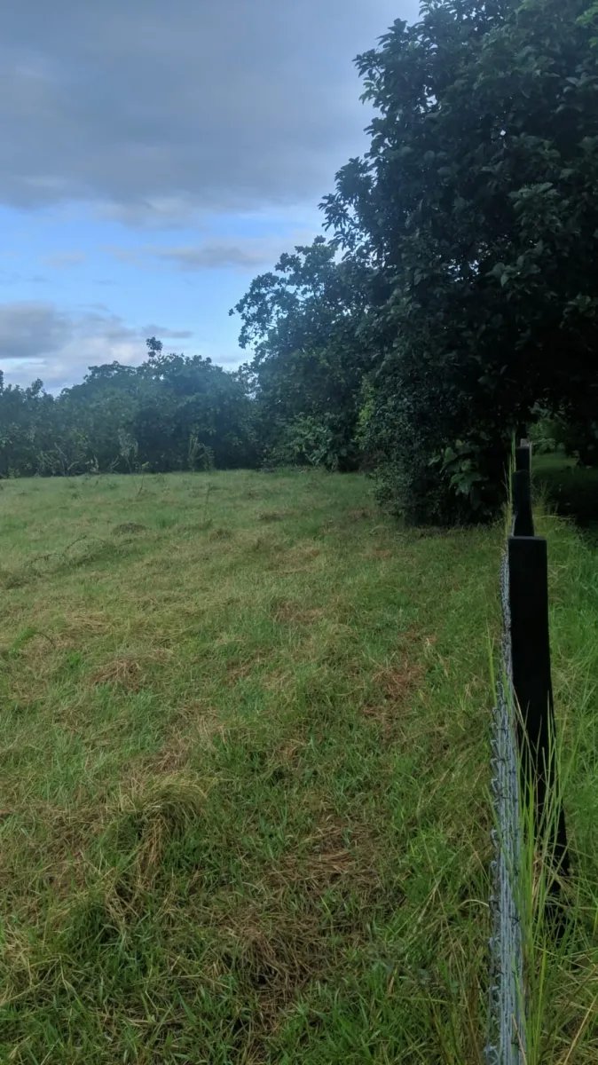 1-hectare lot ready to build on