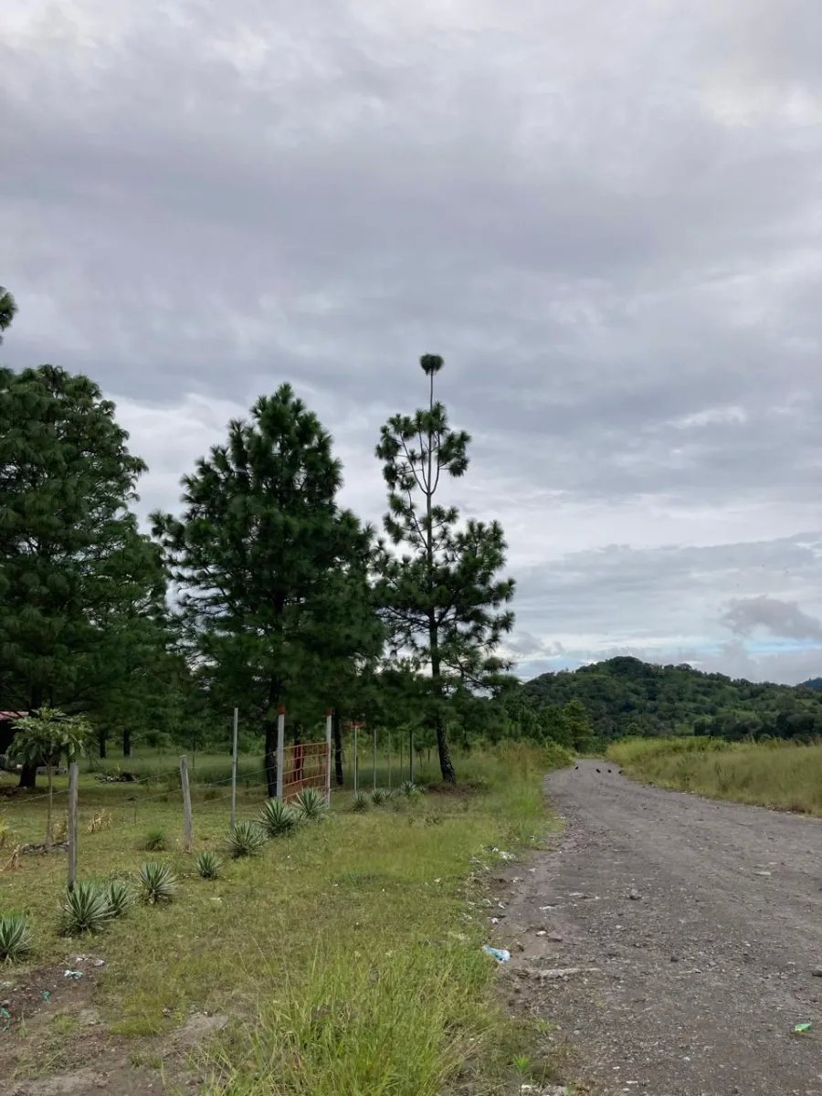 Bonitas vistas y ubicación céntrica