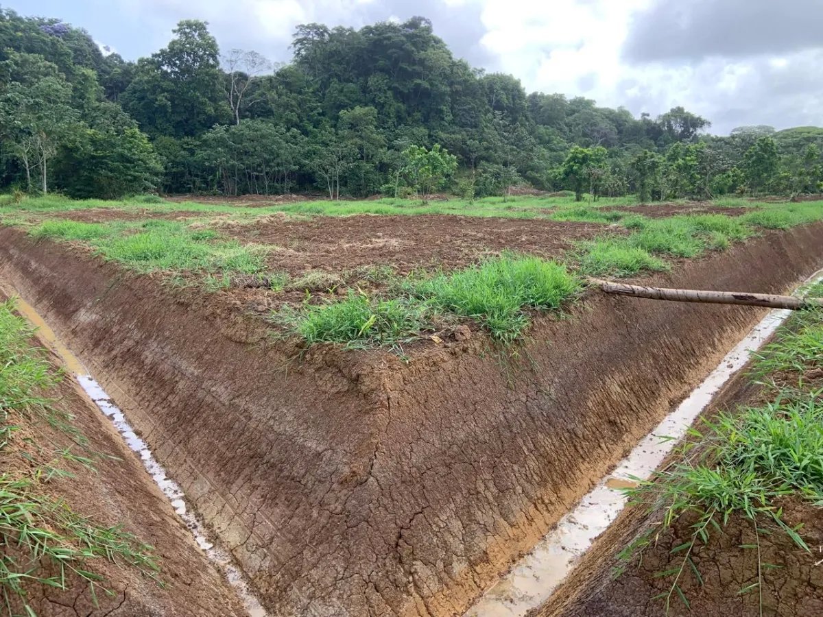 Cocoa and plantain plantation - 1464 hectares fertile land in Cuango