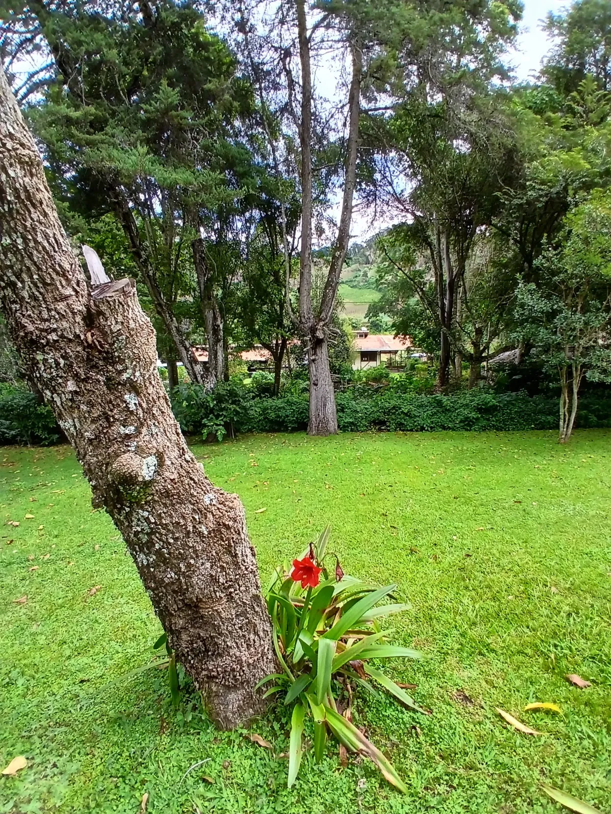 Beautiful park property in a refreshing high-altitude location