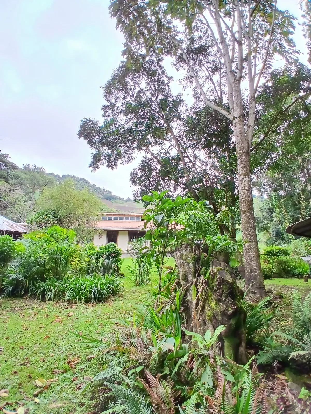 Beautiful park property in a refreshing high-altitude location