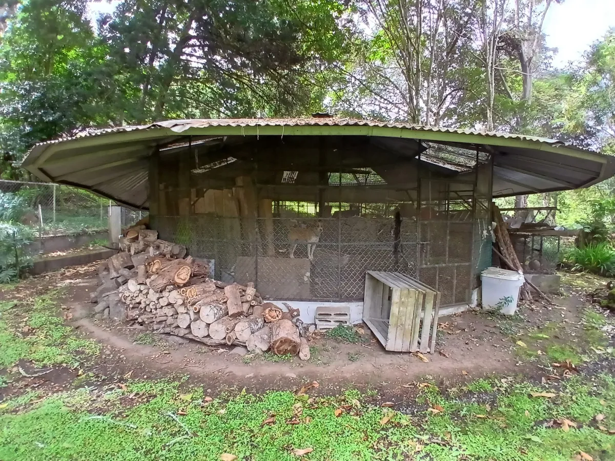 Beautiful park property in a refreshing high-altitude location