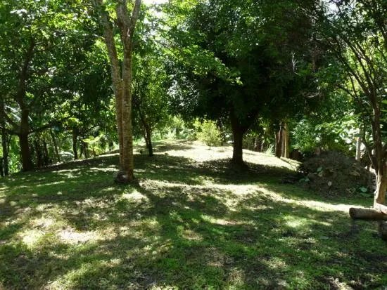 Se vende lote edificable en la montaña
