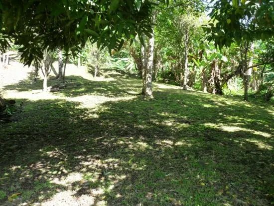 Se vende lote edificable en la montaña