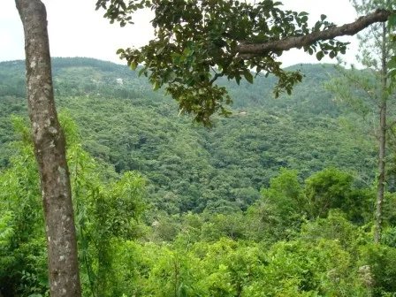 Lote hermoso en el area de valencia, altos del maria. precio reducido ...
