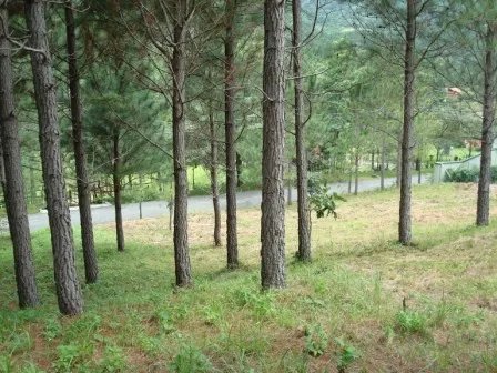 Lote hermoso en el area de valencia, altos del maria. precio reducido ...