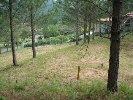 Lote hermoso en el area de valencia, altos del maria. precio reducido ...