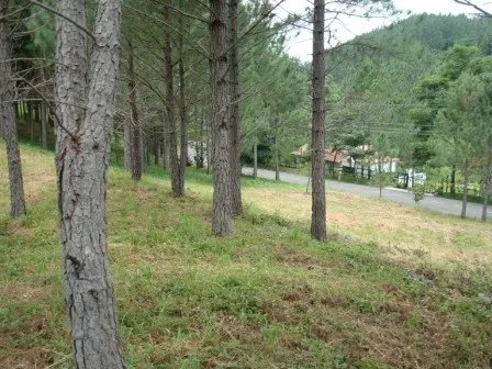 Lote hermoso en el area de valencia, altos del maria. precio reducido y negociable!