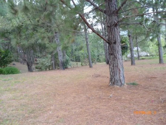 Lote plano en altos del maria