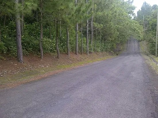 Lote de medio acre en deseable sub divisi