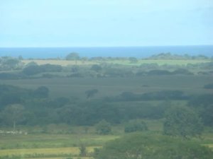 138871 - Las Tablas - properties - cerro canajagua