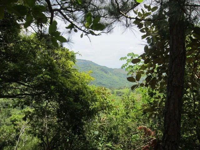 Vistas al valle y el oc
