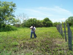 138880 - Las lajas - lots