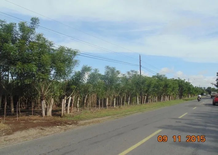 Lote comercial en venta en david