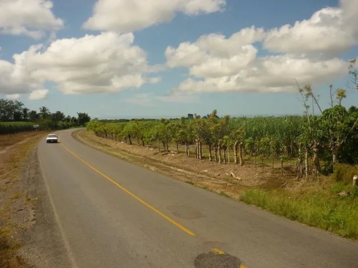 Lote comercial en venta en david