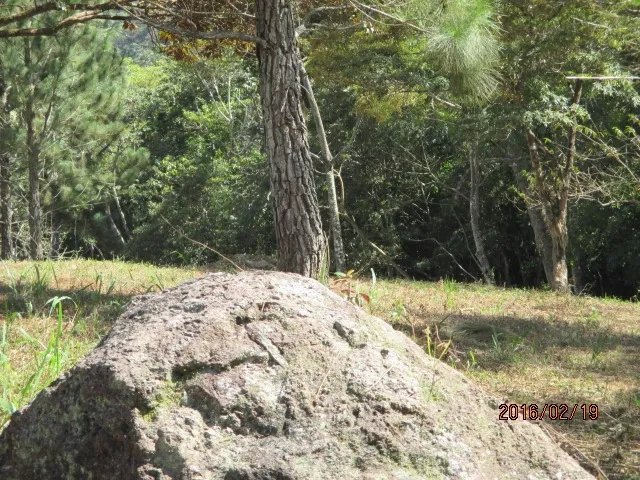 Dos lotes privados con perfecta vista