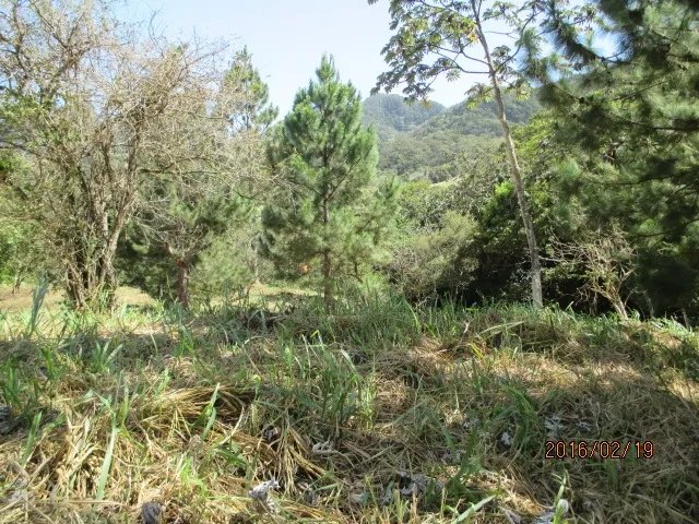 Dos lotes privados con perfecta vista