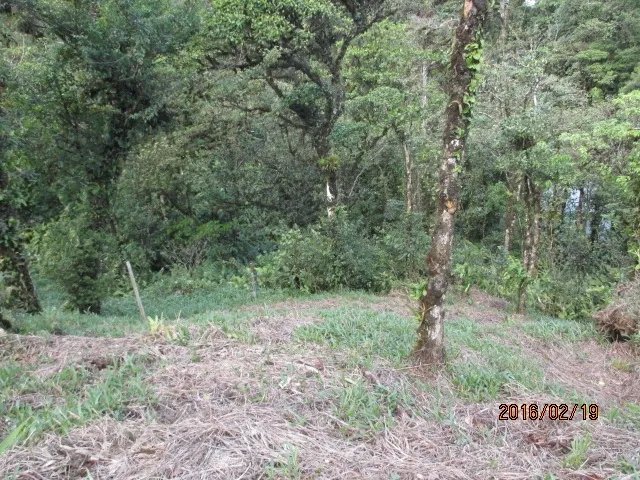 Lote plano en las monta
