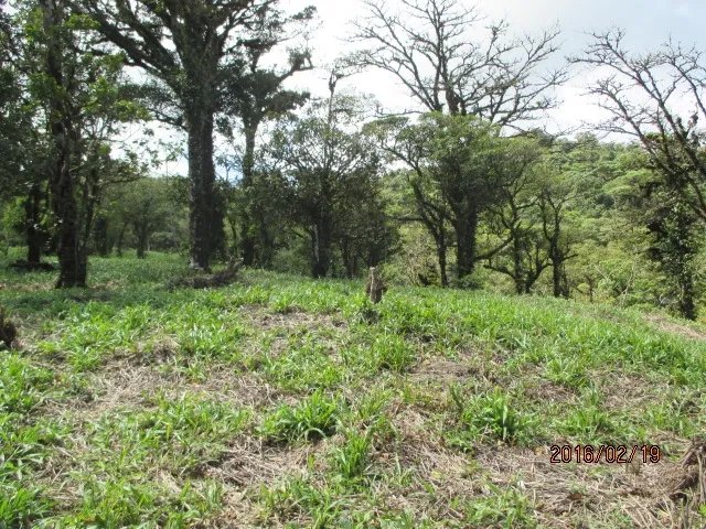 Lote plano en las monta