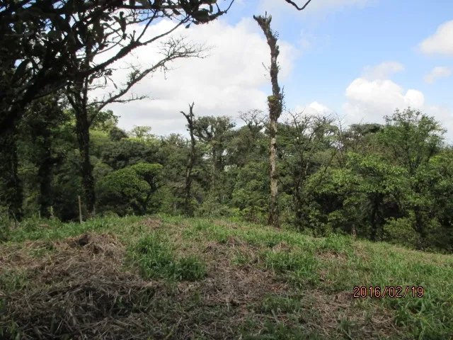 Lote plano en las monta