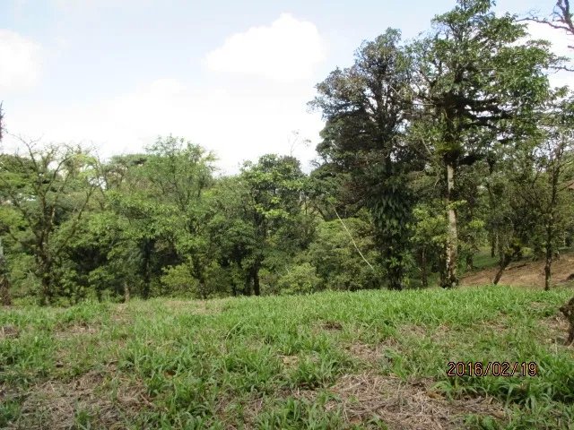 Lote plano en las monta