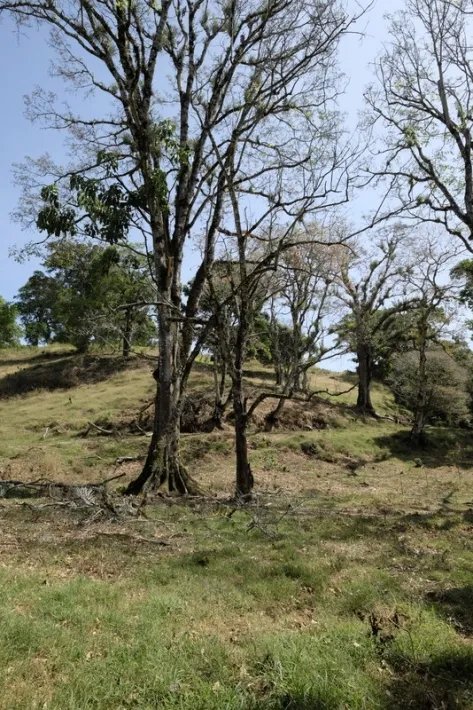 Cerro brujo - cerro eminente en el centro de volcan