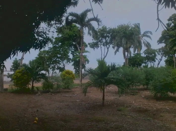 Lote con frente a playa.