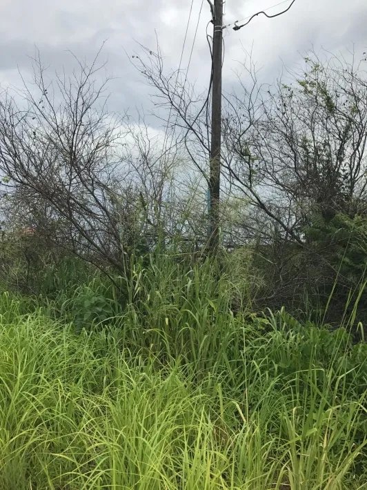 Lote cerca de la playa en venta en punta chame