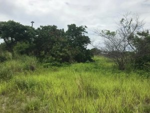 138895 - Punta chame - lots - ventanas del mar
