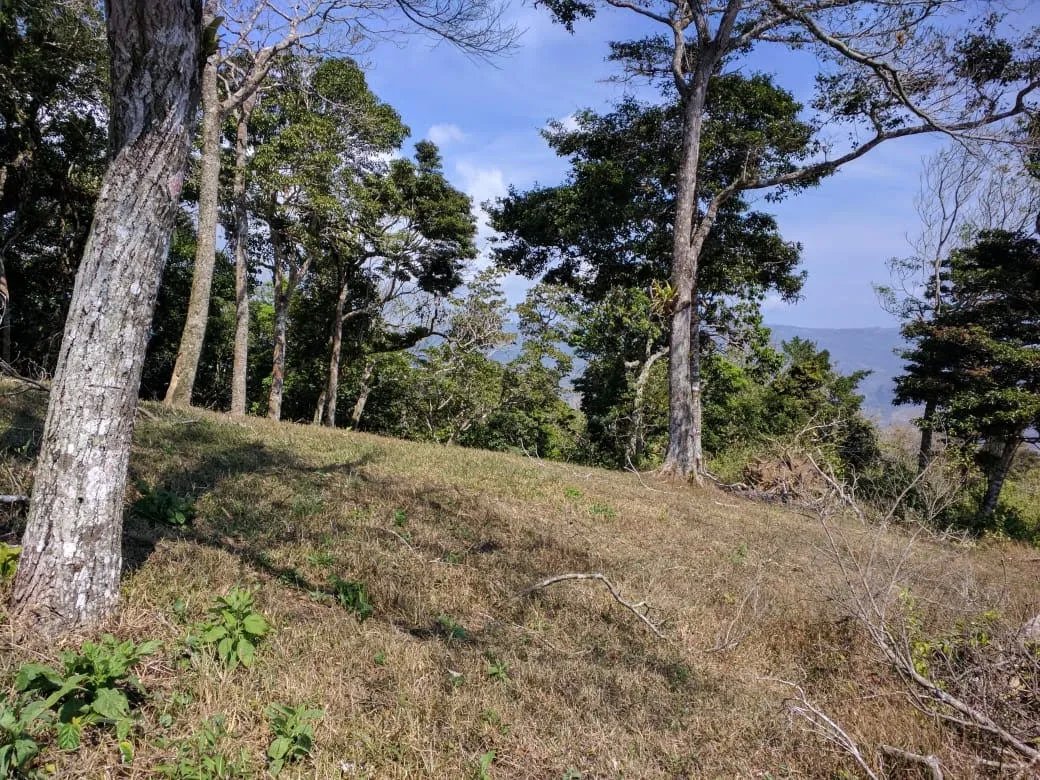 Lote de casa en venta en altos del maria