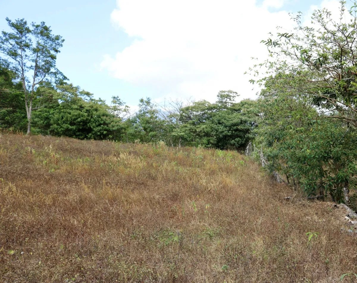 Hermoso lote a poca distancia del centro de volcan