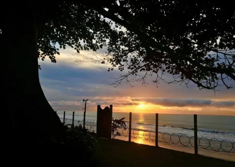 Se alquila casa frente al mar en playa el palmar, san carlos, panamá