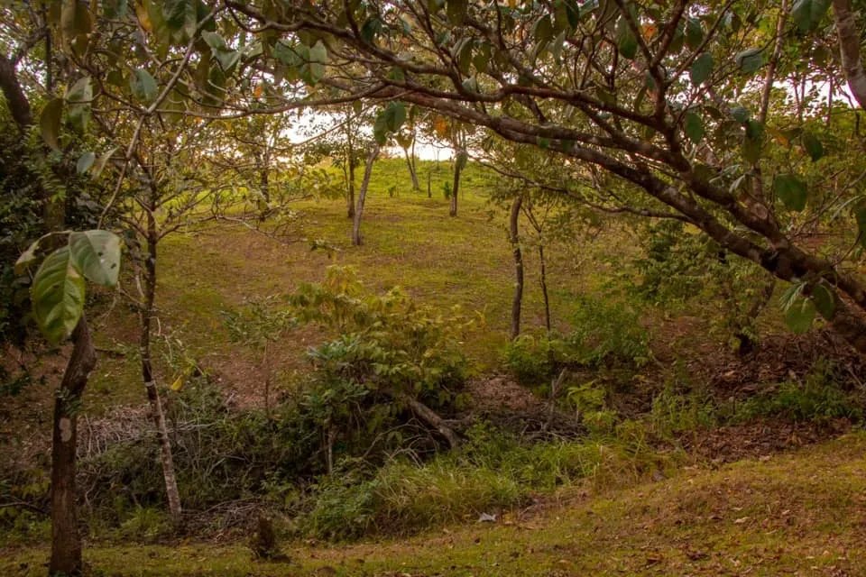 Lote a la venta en santa catalina
