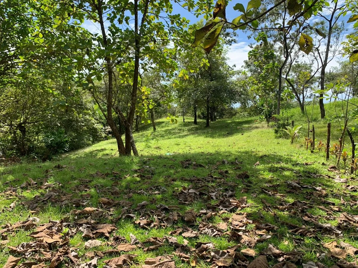 Lote a la venta en santa catalina