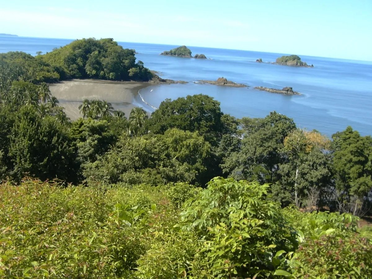 Se vende propiedad en playa gorgona, bahia de san lorenzo