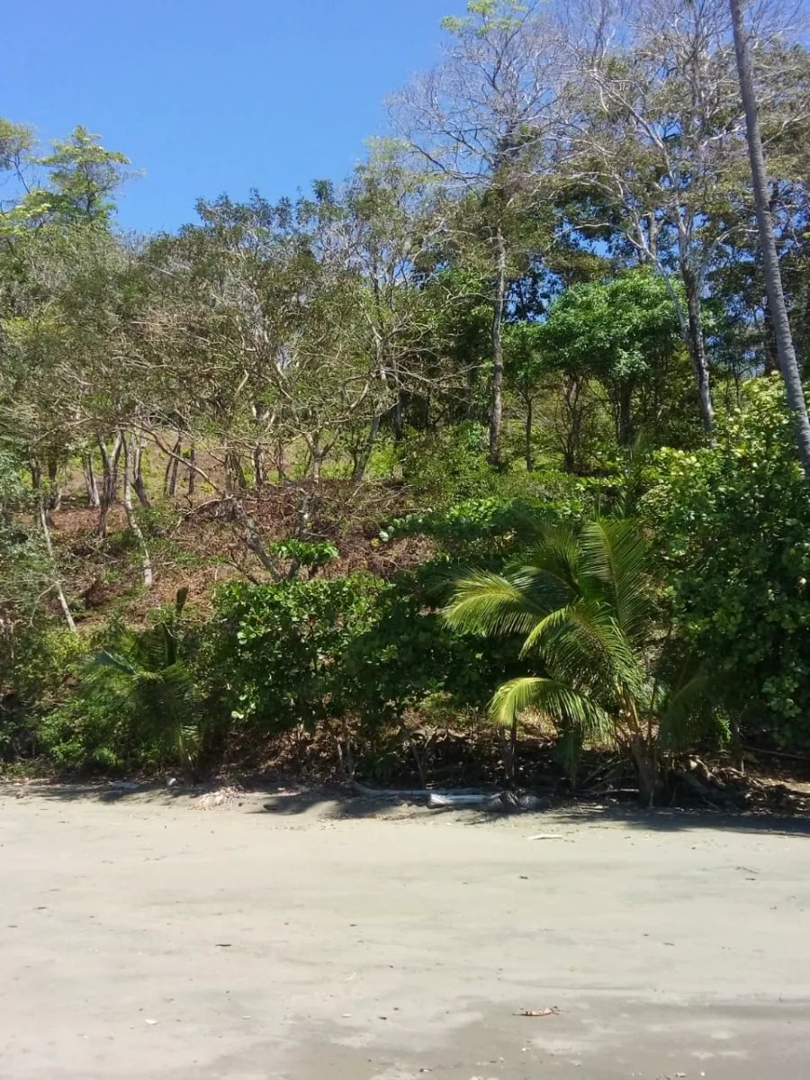 Se vende propiedad en playa gorgona, bahia de san lorenzo