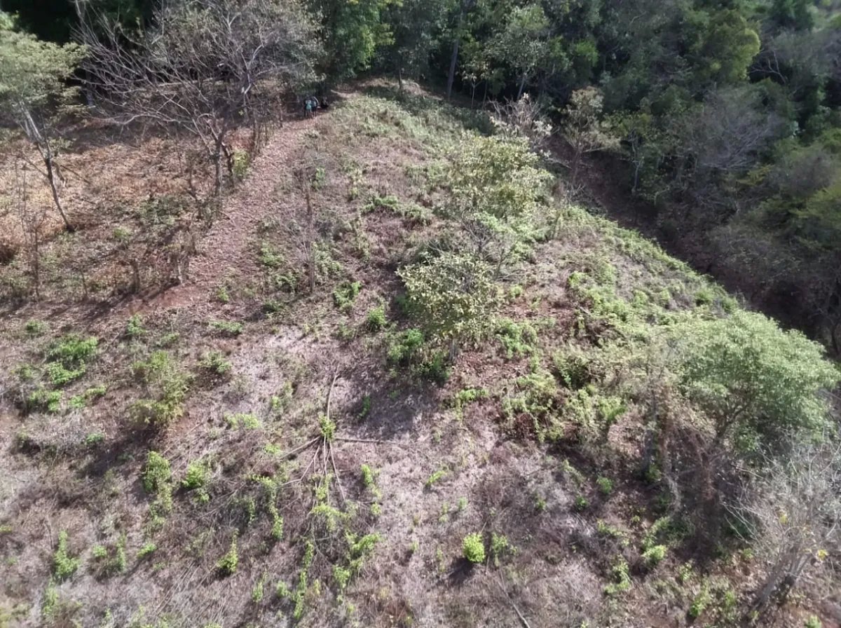 Se vende propiedad en playa gorgona, bahia de san lorenzo