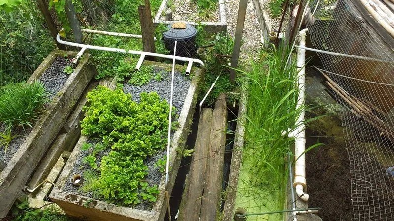 La casa perfecta para los amantes de la naturaleza con jardines de permacultura y acuaponía