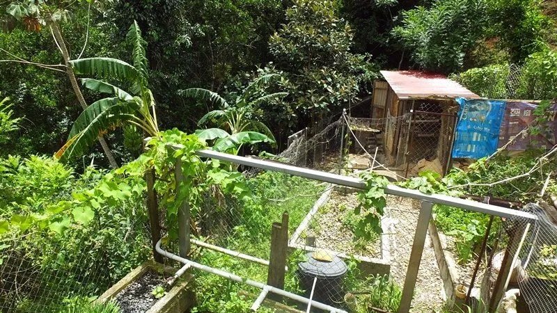 La casa perfecta para los amantes de la naturaleza con jardines de permacultura y acuaponía
