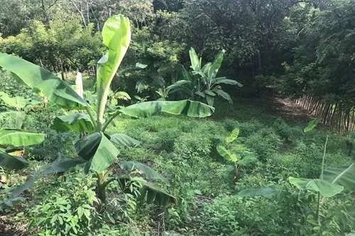 Se vende 6 lotes con vista al mar en largatero, veraguas. panamá
