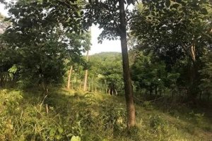 138913 - Veraguas - lots