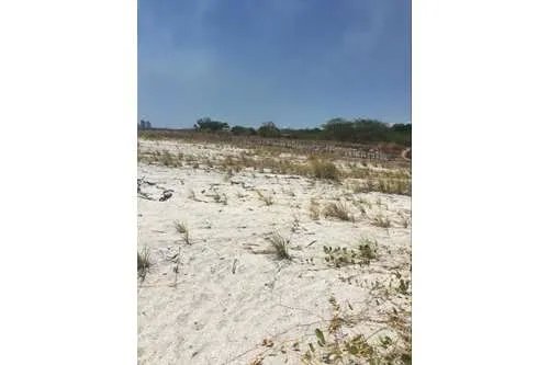 Lotes a la venta frente a playa malibu, en gorgona. panamá