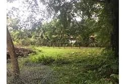 Terreno en playa reina de 1370 m2 titulada